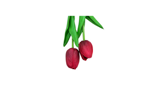 Tulip Earrings